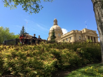 Lenora and her boys behind the legislature among the beautiful foliage.